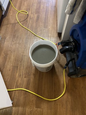 Aloha Carpet Cleaning