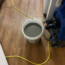 Aloha Carpet Cleaning - Only one of the buckets of stuff he pulled out of my carpet