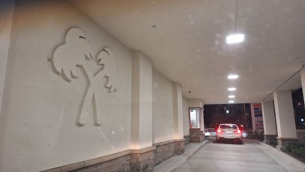 In-N-Out Burger by null