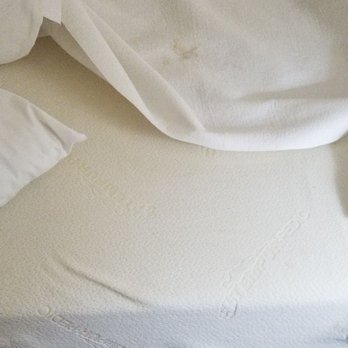 Princess Royale - Stain in bed - Resorts Near Me - Ocean City, Maryland Princess Royale - Stain in bed - Resorts Near Me - Ocean City, Maryland