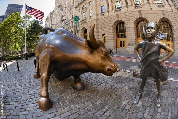 Charging Bull by null