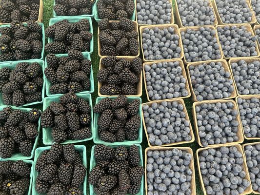 LA Rivers Farmers' Market by null