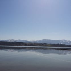 Simssee