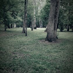 Mohican Reservation Campground & Canoeing - Group mohican reservation