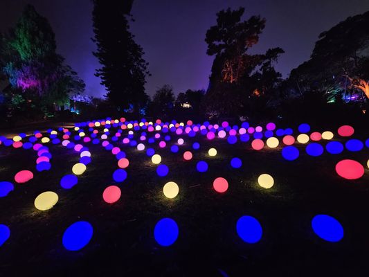 San Diego Botanic Garden by null