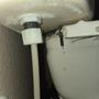 Photo of Mr. Groovy's Plumbing