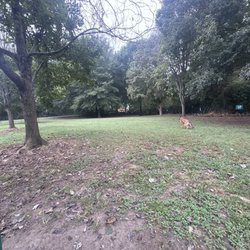 Canton Paw Park