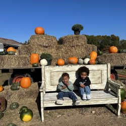 Deep Roots Produce - Cute photo op spot