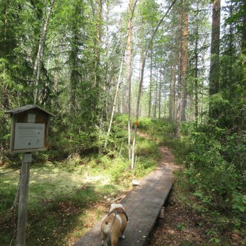 Naturum Dalarna - the 1.6km forest trail - Museums Near Me - Siljansnäs, W