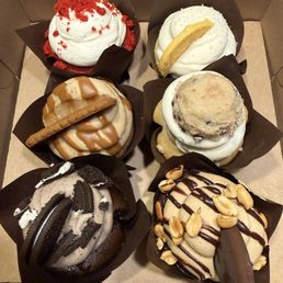 My birthday cupcakes were great! Thanks My birthday cupcakes were great! Thanks