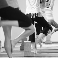 Mountain Home Yoga Center - The yoga community is accepting, supportive, caring and fun! Try a class today.