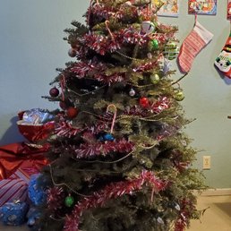 My Tree lost it Color and Is Falling Apart... My Tree lost it Color and Is Falling Apart...