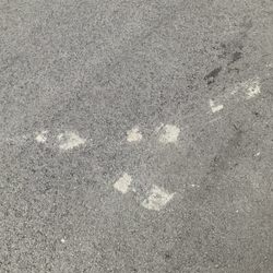 R. Cooper & Sons Paving