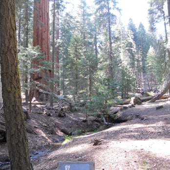 Trail of 100 Giants - Hiking Near Me - Springville, California Trail of 100 Giants - Hiking Near Me - Springville, California