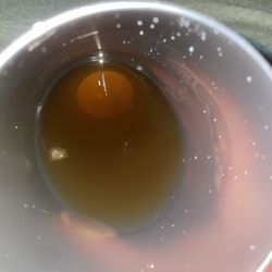 Publix Super Markets - Mold