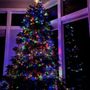 Photo of Tucker Tree Farm West