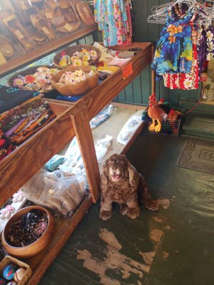 Rainbow Bridge Gift Shop by null