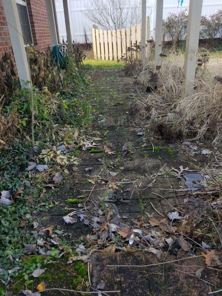 Slide of Champion Roof Cleaning and Pressure Washing