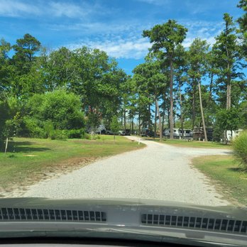 Pine Grove Campground - Campgrounds Near Me - Chincoteague, Virginia Pine Grove Campground - Campgrounds Near Me - Chincoteague, Virginia