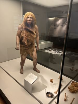 Archaeological Museum of Asturias by null