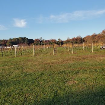 Mark Cascia Vineyards - Wineries Near Me - Stevensville, Maryland