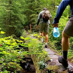 Siouxon Creek Trail