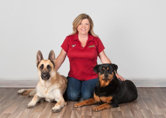 bark busters near me