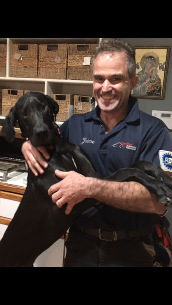 CERTIFIED AUTOMOTIVE SOLUTIONS Updated September 2024 41 Reviews