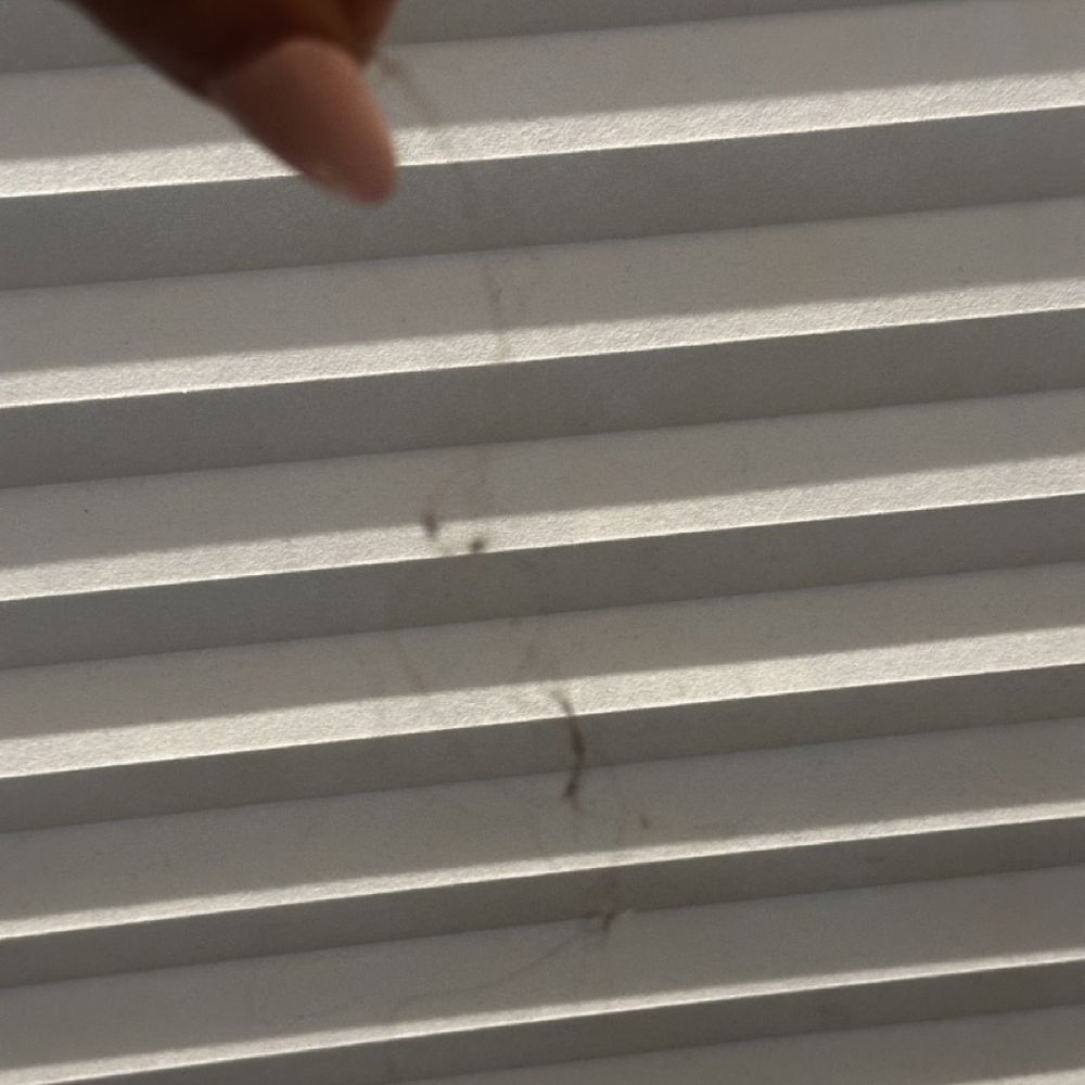 Chunk of hair left in the corner after "deep clean" of bedroom. Chunk of hair left in the corner after "deep clean" of bedroom.