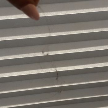 Green Cleaning SF - Chunk of hair left in the corner after "deep clean" of bedroom. - Home Cleaning Near Me Green Cleaning SF - Chunk of hair left in the corner after "deep clean" of bedroom. - Home Cleaning Near Me