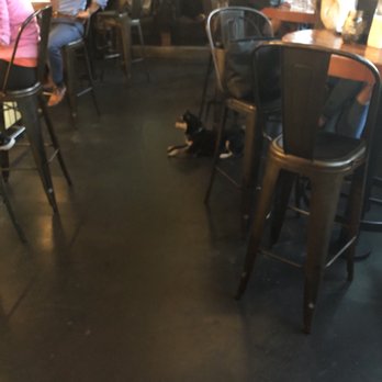 LOCAL Public Eatery Terry Ave - Bars Near Me - Seattle, Washington