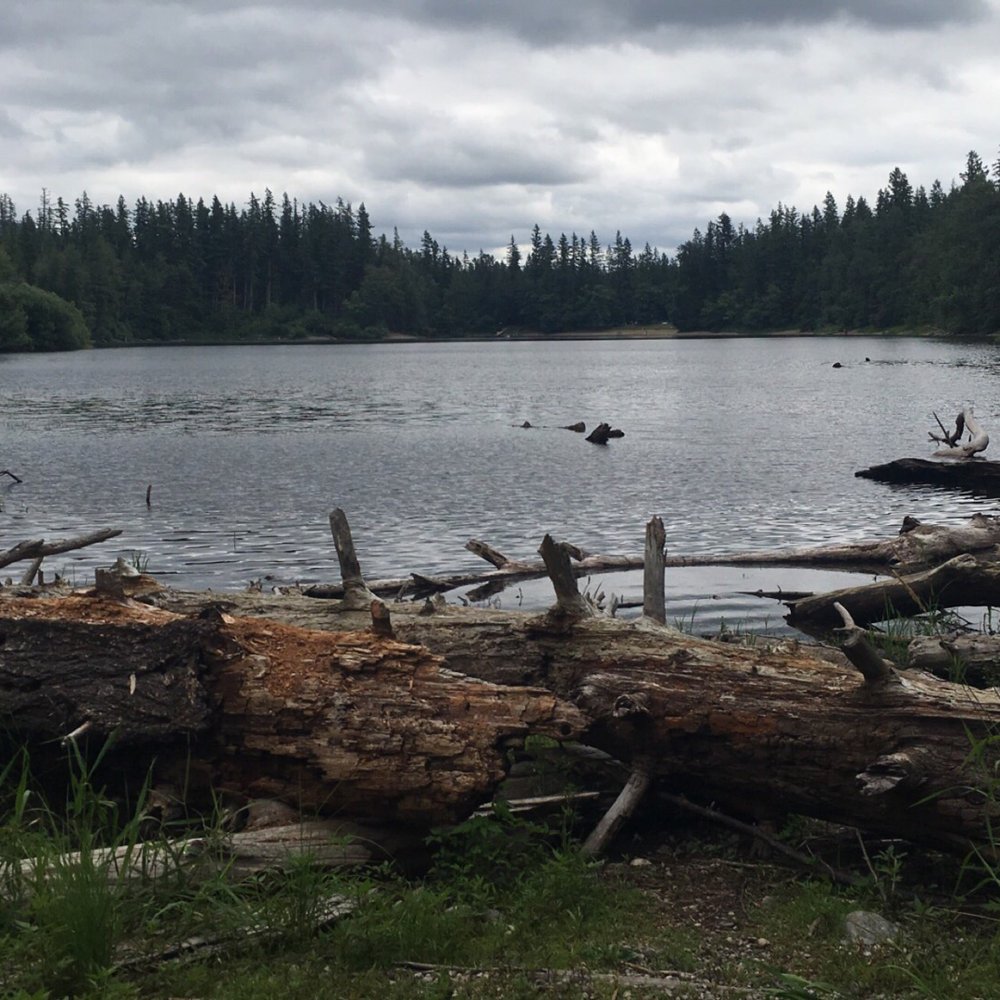 Nolte State Park - On a bit of a gloomy day, but still beautiful. - Fishing Near Me - Enumclaw, Washington Nolte State Park - On a bit of a gloomy day, but still beautiful. - Fishing Near Me - Enumclaw, Washington