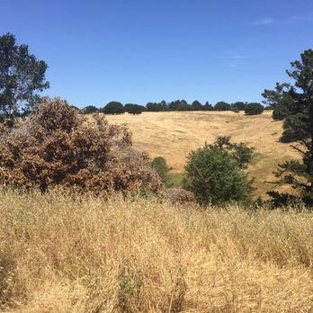 Knowland State Arboretum And Park - Parks Near Me Knowland State Arboretum And Park - Parks Near Me