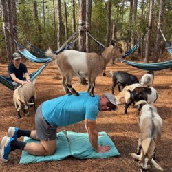 Jaybird Hammock Farm