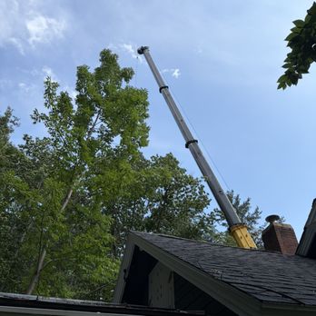 Rotten Rock Logging & Tree Service - Tree Services Near Me Rotten Rock Logging & Tree Service - Tree Services Near Me