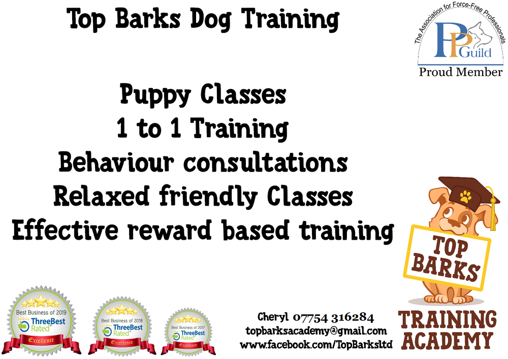 TOP BARKS 11 Buccaneer Way, Wales, Newport, United Kingdom Pet
