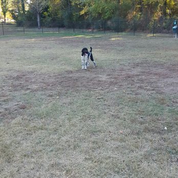 Burger Dog Park - Dog Parks Near Me - Smyrna, Georgia