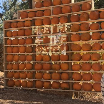 Maan Farms - Meet me at the patch - Farmers Market Near Me - Abbotsford, British Columbia