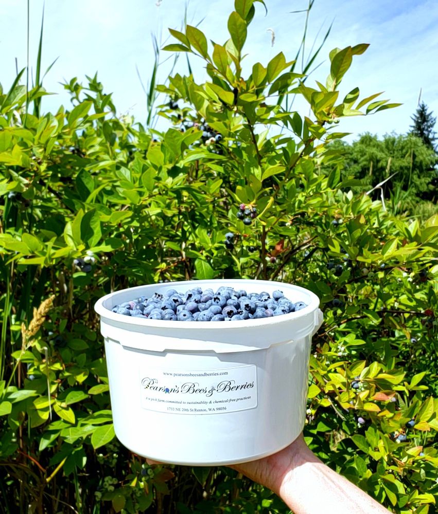 Pearson’s Bees and Berries - beekeeping in Renton, WA