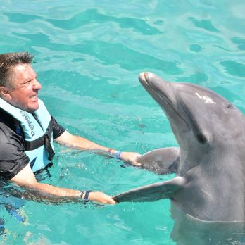 Dolphin Discovery Isla Mujeres - Tours Near Me - Isla Mujeres, ROO Dolphin Discovery Isla Mujeres - Tours Near Me - Isla Mujeres, ROO