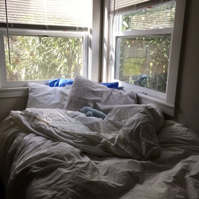 Parachute Home by null