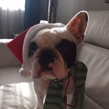 Wet Nose Training - Pet Training Near Me - San Antonio, Texas Wet Nose Training - Pet Training Near Me - San Antonio, Texas