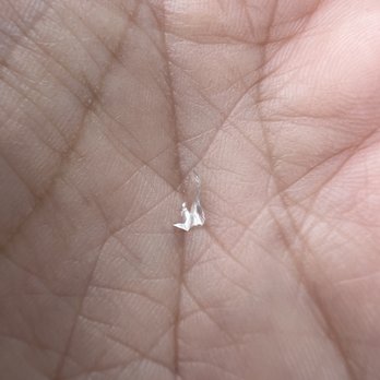 Tea Garden Cafe - a tiny white piece of food on a person's hand - Chinese Near Me - Eureka, California