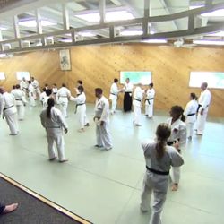 Bob Aldis' Bushido Martial Arts