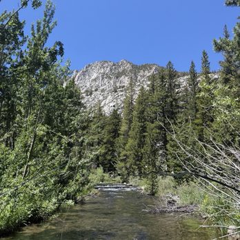 Golden Trout Guiding - Fishing Near Me Golden Trout Guiding - Fishing Near Me