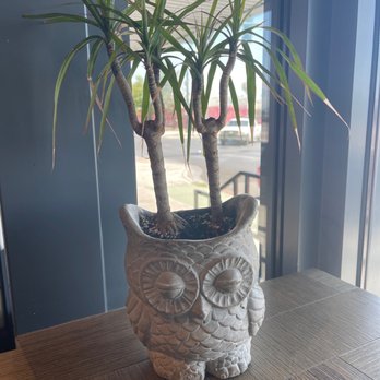 PublicUs - Hi there. - Coffee & Tea Near Me - Las Vegas, Nevada PublicUs - Hi there. - Coffee & Tea Near Me - Las Vegas, Nevada