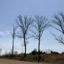 Photo of Country Hills Golf Course