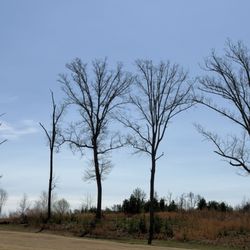Country Hills Golf Course