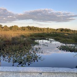 Erie National Wildlife Refuge