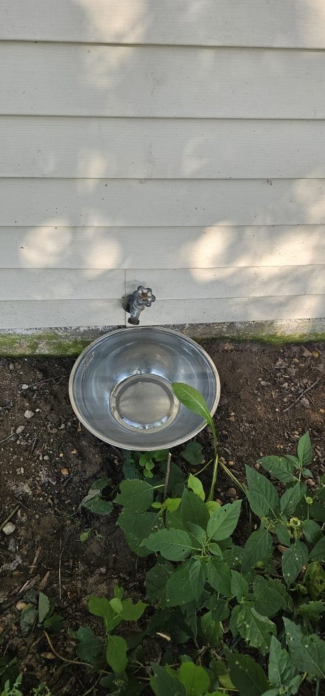 Slide of GR's Plumbing